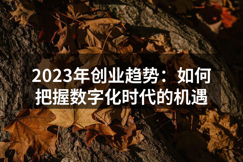 2023年创业趋势：如何把握数字化时代的机遇