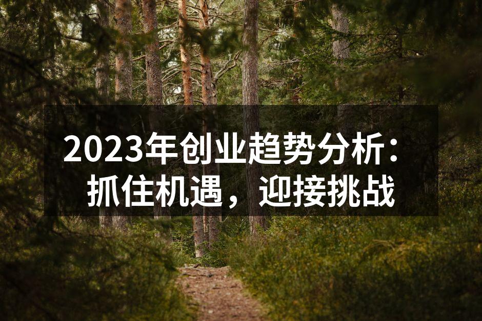 2023年创业趋势分析：抓住机遇，迎接挑战